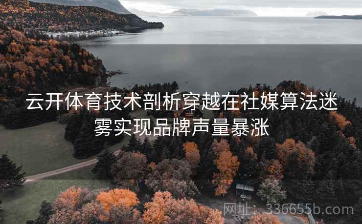 云开体育技术剖析穿越在社媒算法迷雾实现品牌声量暴涨