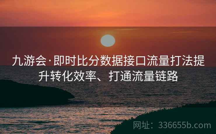 九游会·即时比分数据接口流量打法提升转化效率、打通流量链路
