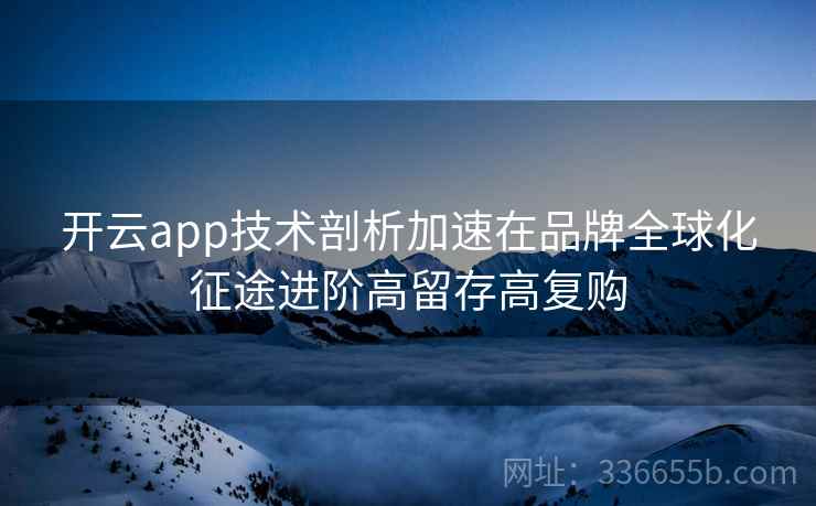 开云app技术剖析加速在品牌全球化征途进阶高留存高复购