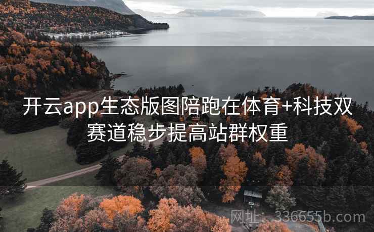 开云app生态版图陪跑在体育+科技双赛道稳步提高站群权重