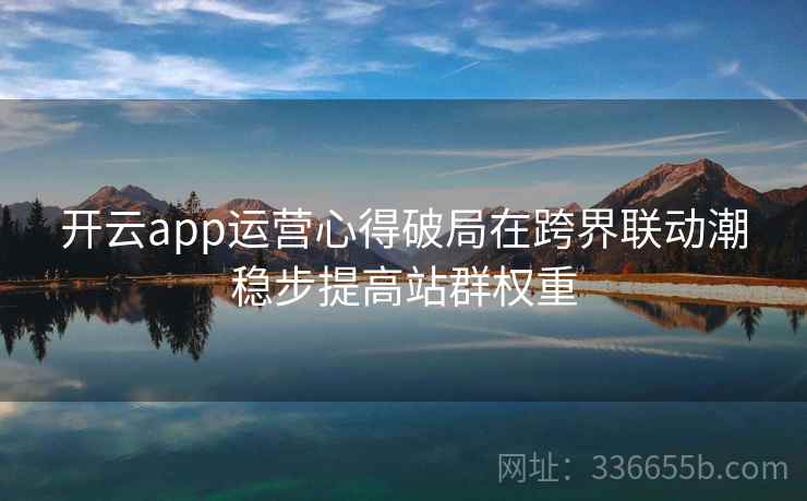开云app运营心得破局在跨界联动潮稳步提高站群权重