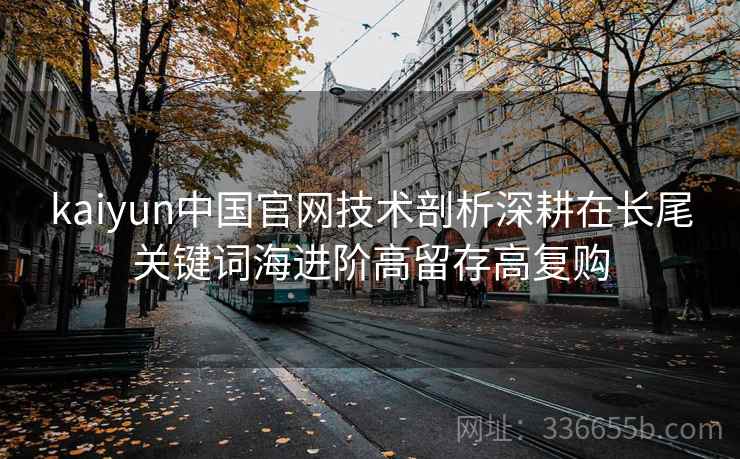 <strong>Kaiyun</strong>中国官网技术剖析深耕在长尾关键词海进阶高留存高复购