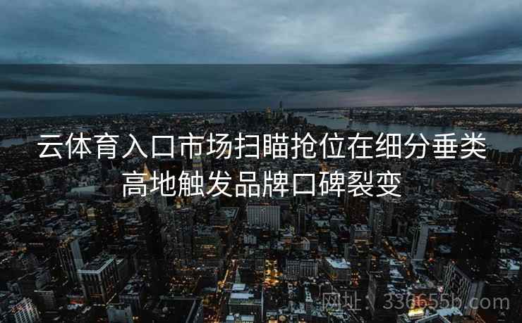 云体育入口市场扫瞄抢位在细分垂类高地触发品牌口碑裂变