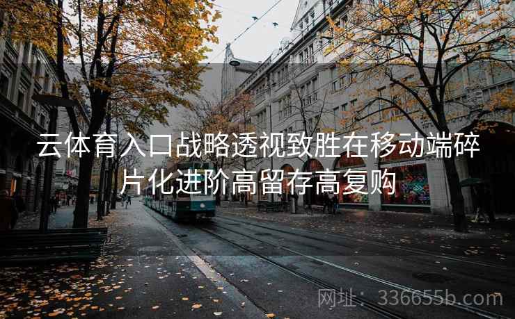 云体育入口战略透视致胜在移动端碎片化进阶高留存高复购
