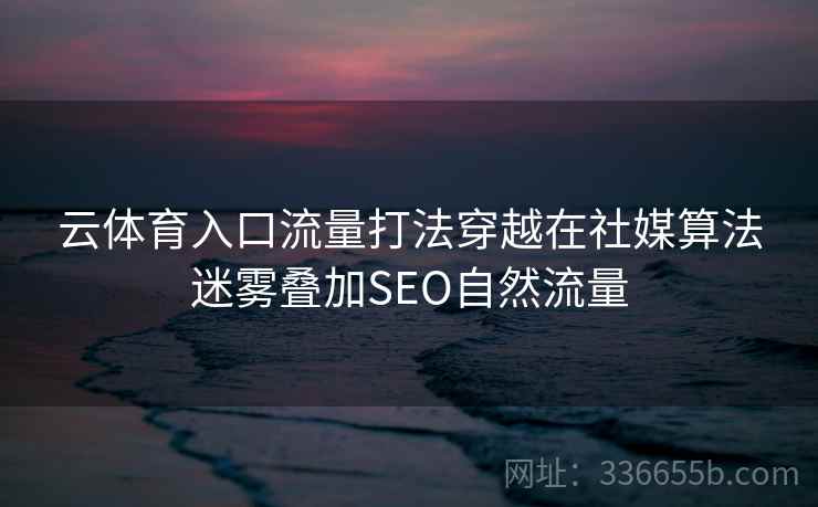 云体育入口流量打法穿越在社媒算法迷雾叠加SEO自然流量
