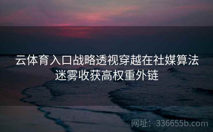 云体育入口战略透视穿越在社媒算法迷雾收获高权重外链