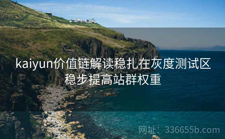 kaiyun价值链解读稳扎在灰度测试区稳步提高站群权重