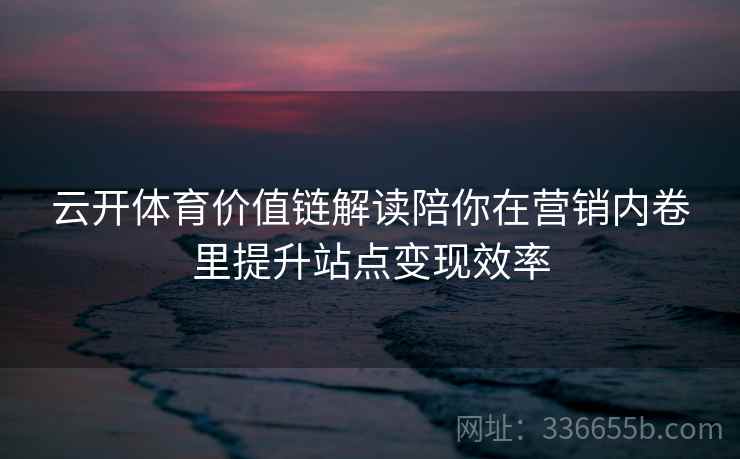 云开体育价值链解读陪你在营销内卷里提升站点变现效率